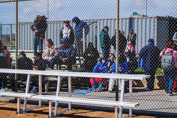 DSC_3954