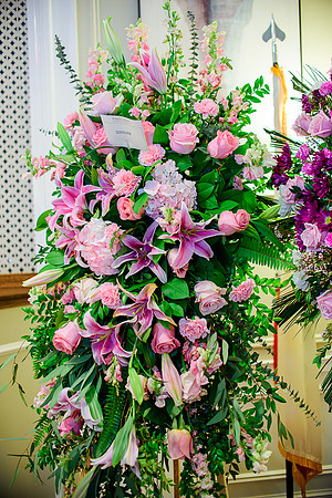 DSC_4089-Enhanced-NR